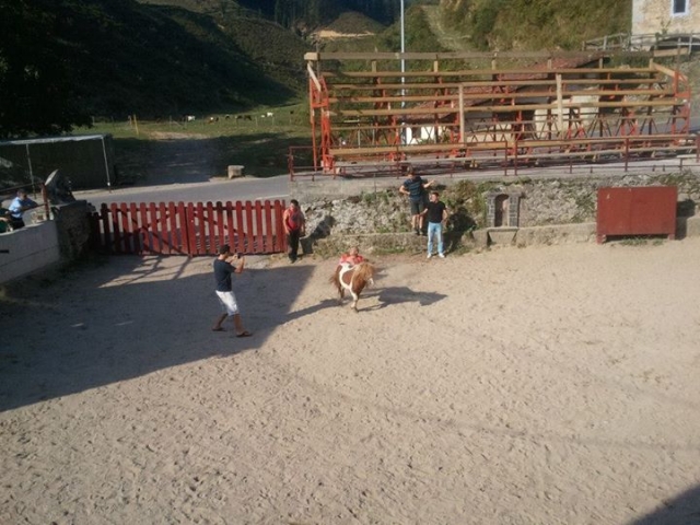 en la capea con el pony